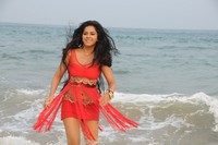 Rachana Mourya Spicy Photos